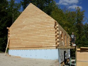 Roof framing
